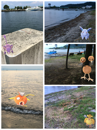 滋賀でも｢ポケモンGO｣で事故。　ﾄﾗﾌﾞﾙの無いように仲良く楽しむために・・・