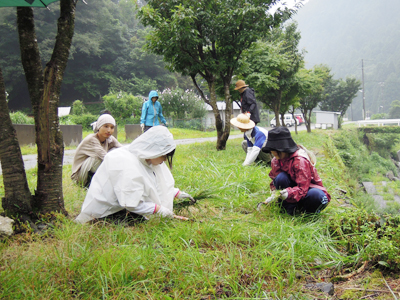 天増川集落　草刈り体験　開催しました。