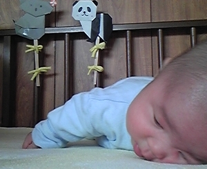 トレーニング中