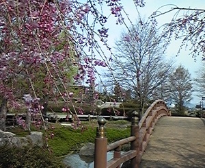 草津市水生植物公園みずの森