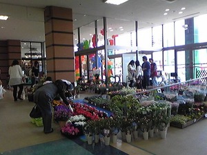 花買いに行きました