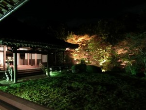 秋の紅葉を楽しむ