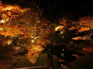 秋の紅葉を楽しむ
