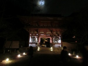 秋の紅葉を楽しむ