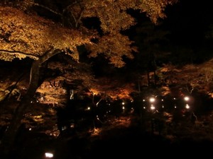 秋の紅葉を楽しむ