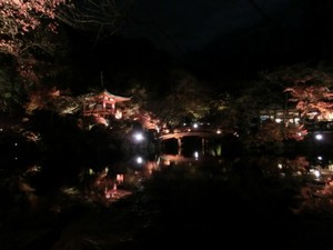 秋の紅葉を楽しむ