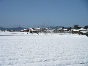 雪景色
