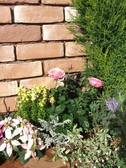 花　はいりました( ^ー^)ノ　その２