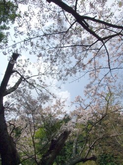 信楽へ行ってきました♪