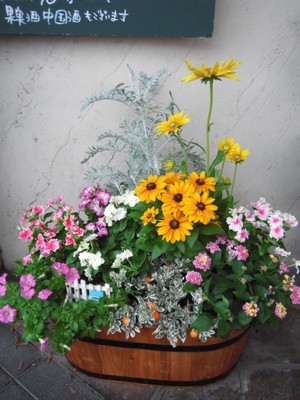 初夏の寄せ植え