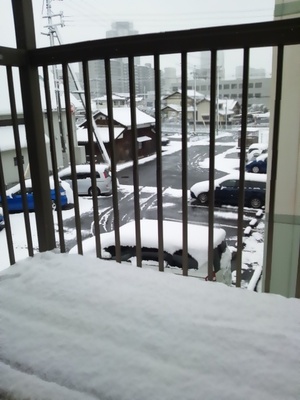 雪やんけ