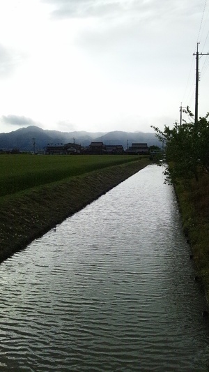 久しぶりの実家