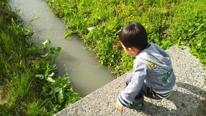 久しぶりの実家
