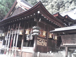 近江八幡珍道中　２