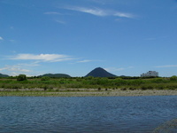 野洲川小鮎釣り盛況