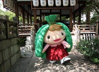 ちま吉★