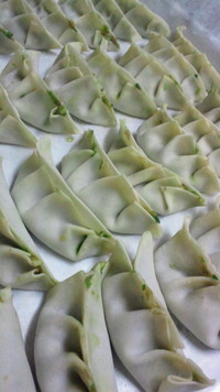 餃子…白菜派？キャベツ派？