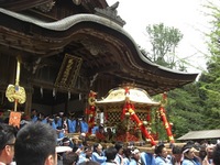 日野祭・・・犬も楽しむ。