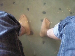 足湯！