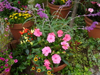 夏花壇