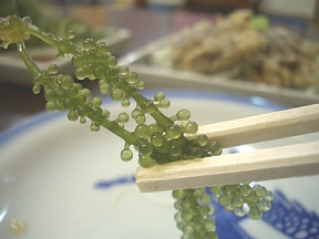 美容にもうれしい“長寿食”。沖縄料理「よいどころ」