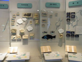 琵琶湖博物館で、アカデミックに触れよう