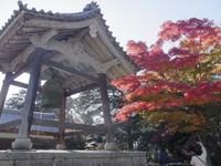 湖南の「善水寺」で、美しい紅葉と国宝の本堂を満喫