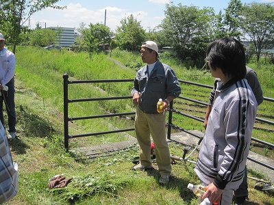 目田川にカンナ200株植えました（5月29日）