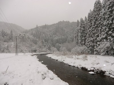 朽木積雪20センチ