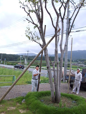 備えあれば憂いなし