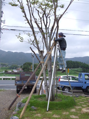 備えあれば憂いなし