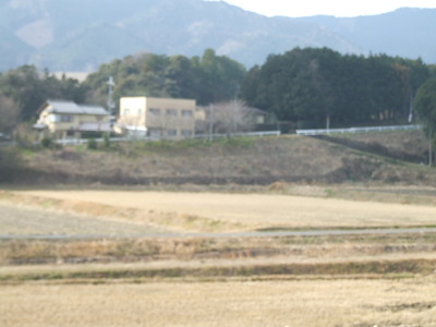 伊香立定点観測