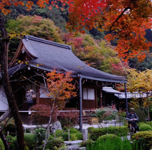 牛に引かれ善光寺