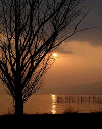 南湖夕景