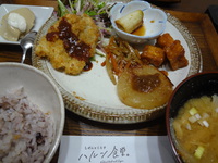 ハルン食堂