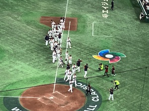 WBC