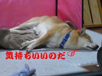 ウゥ~~ン 2014/03/18 19:50:45