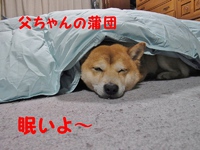好きなんだもん！ 2014/03/26 14:23:40