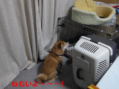 眠い２