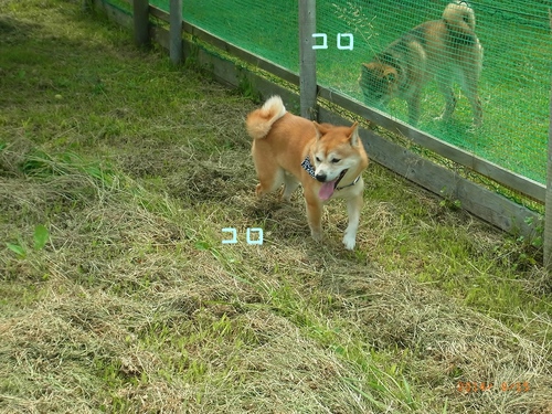 楽しかったよ！