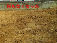 お疲れのようで・・ 2014/03/19 22:58:24