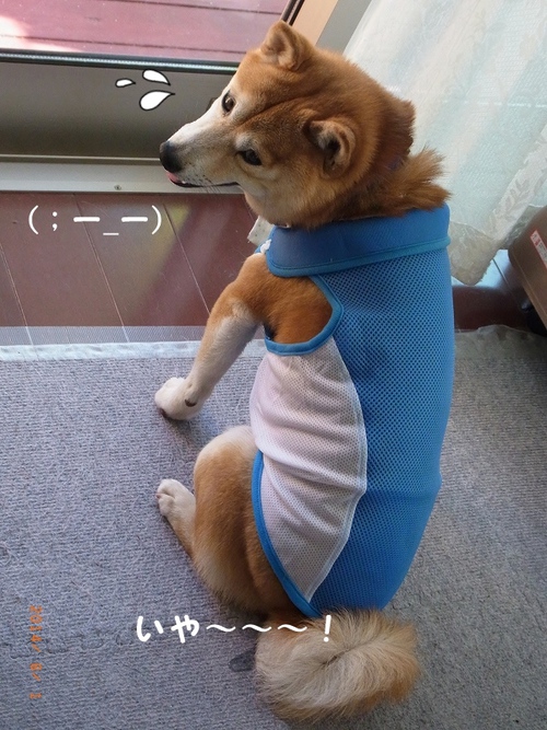 あぁ～～