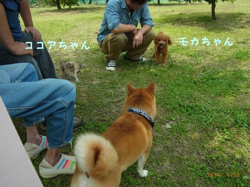 楽しかったよ！
