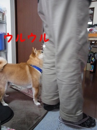 恋煩い 2014/03/29 17:38:01