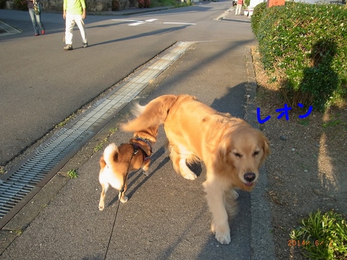 あぁ～～