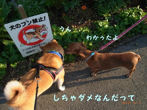 あぁ～～