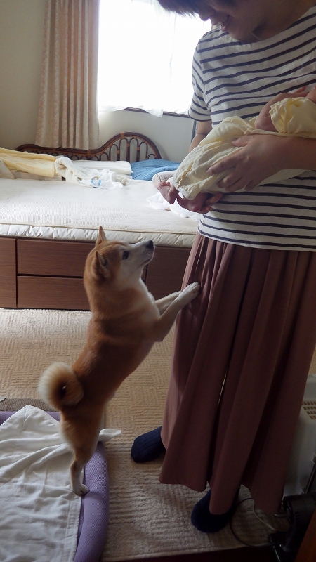 ネ～タん・スキスキ