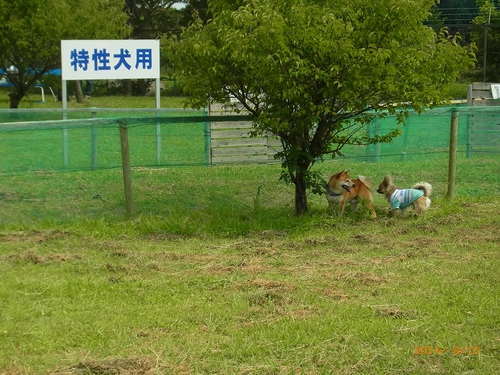 楽しかったよ！