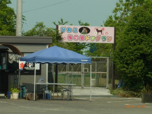 楽しかったよ！