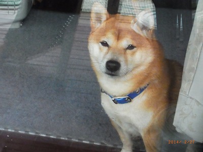 出たいよ